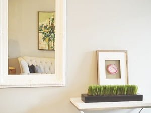 Mirrors Ferntree Gully